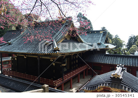 久能山東照宮 静岡県 神社  30545341