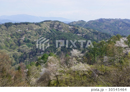 山桜の里　信州池田町 30545464