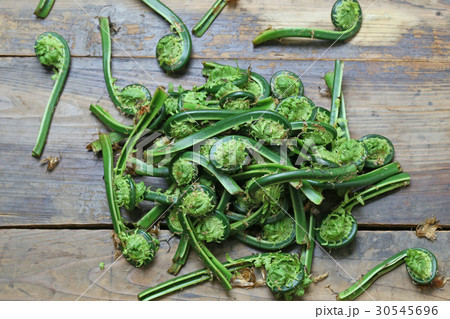 コゴミ コゴミ 30545696