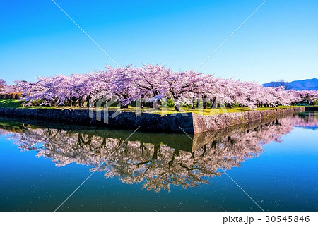 五稜郭公園　（函館市） 30545846