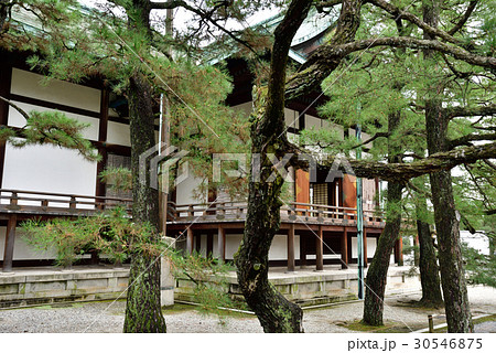 京都御所　春興殿 30546875