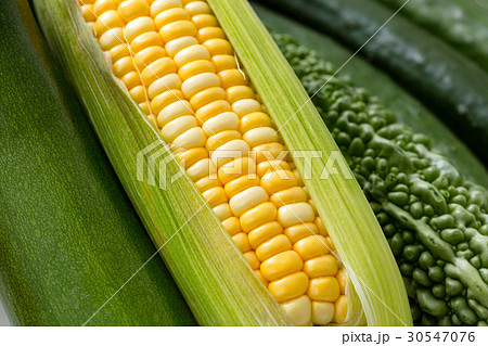 とうもろこし とうもろこし 30547076