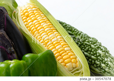 とうもろこし とうもろこし 30547078