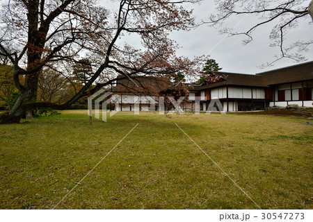 桂離宮 書院と桜 桂離宮 書院と桜 30547273