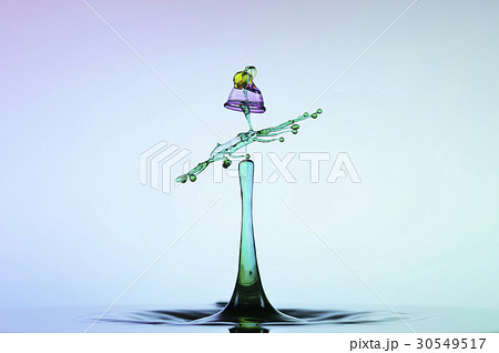 Instant photography Instant photography 30549517