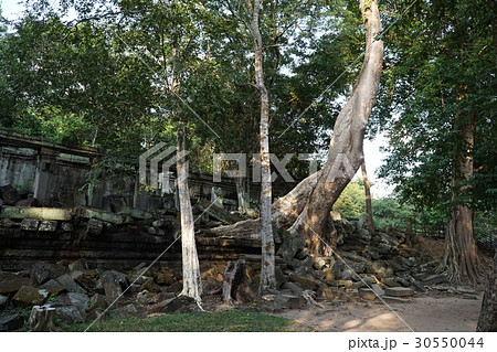 ベンメリアの遺跡 ベンメリアの遺跡 30550044