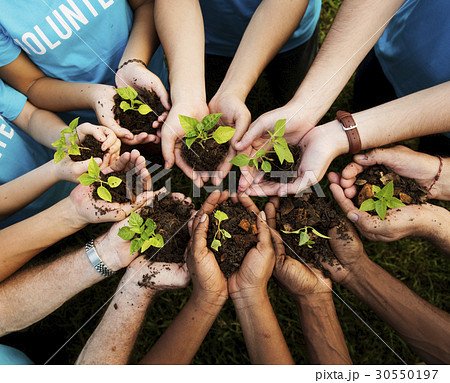 Group of environmental conservation people hands planting in aerial view 30550197