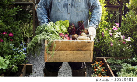 Man holding crate of organic fresh agricultural product 30550481