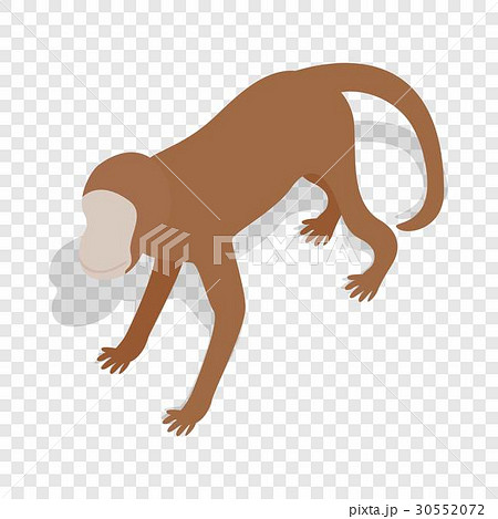 Monkey isometric icon 30552072