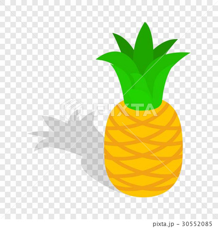 Pineapple isometric icon Pineapple isometric icon 30552085