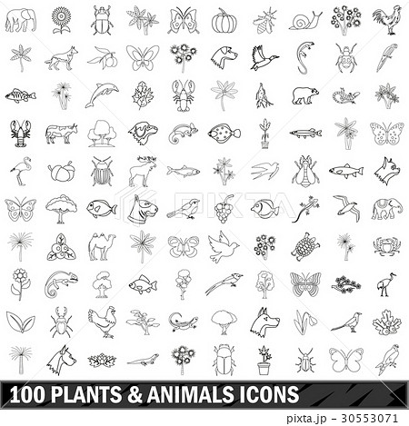 100 plants and animals icons set, outline style 30553071