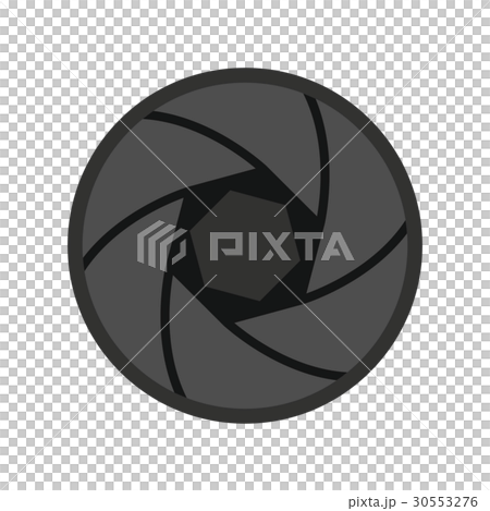 Professional objective icon, flat style 30553276
