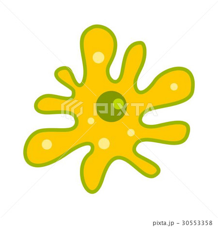 Amoeba icon, flat style 30553358
