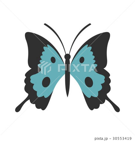 Butterfly icon, flat style 30553419