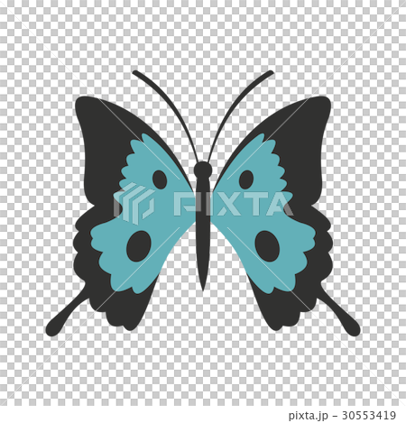 Butterfly icon, flat style 30553419