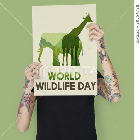 World Wildlife Day Animal Species Environmental World Wildlife Day Animal Species Environmental 30554738
