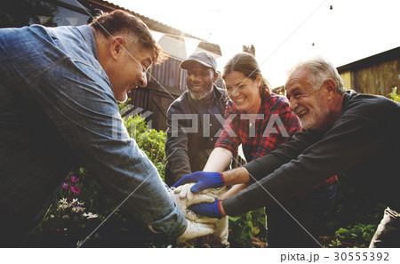 Group of people hand assemble planting vegetable in greenhouse Group of people hand assemble planting vegetable in greenhouse 30555392