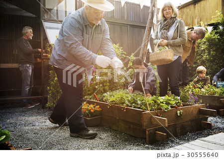 Group of people planting vegetable in greenhouse Group of people planting vegetable in greenhouse 30555640