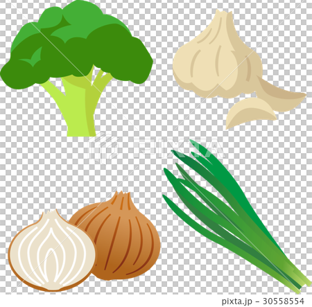 ファイトケミカル 含硫化合物を含む食品 ファイトケミカル 含硫化合物を含む食品 30558554