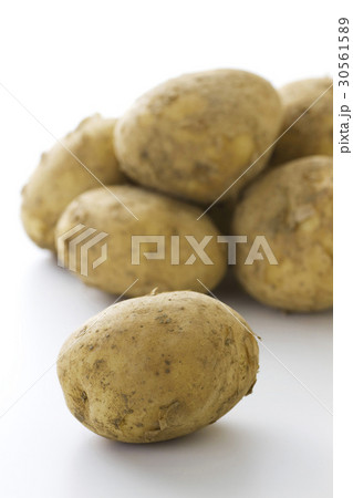 新ジャガイモ3 30561589