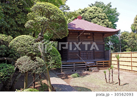 能満寺 30562093