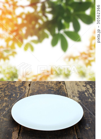 dish on old wood table and blur leaves background dish on old wood table and blur leaves background 30562366