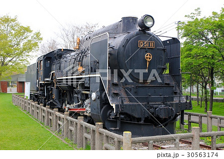 D51 11・農試公園 30563174