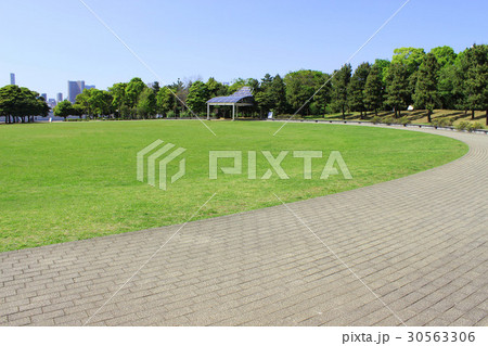 潮風公園　太陽の広場 30563306
