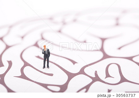 脳みその上の考えるビジネスマン 30563737