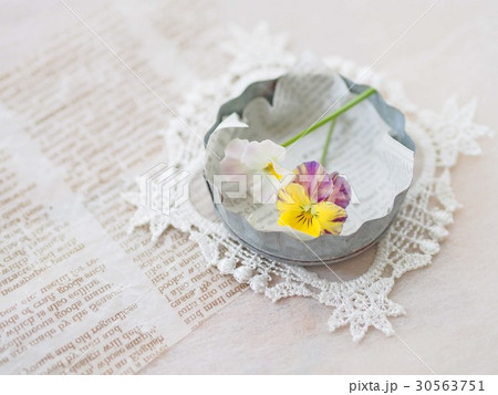 タルト型とビオラ タルト型とビオラ 30563751