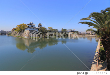 東側からの今治城全景(御金櫓、天守閣、武具櫓) 東側からの今治城全景(御金櫓、天守閣、武具櫓) 30563775
