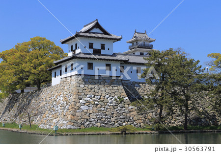 今治城(御金櫓、天守閣) 今治城(御金櫓、天守閣) 30563791