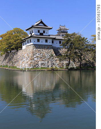 今治城（御金櫓、天守閣） 30563793