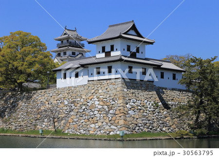今治城(天守閣、御金櫓) 今治城(天守閣、御金櫓) 30563795