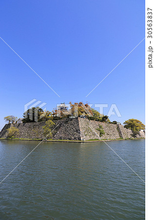 南から見る今治城全景 30563837