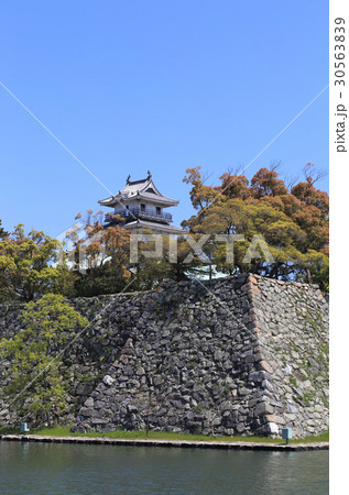 南から見る今治城 南から見る今治城 30563839
