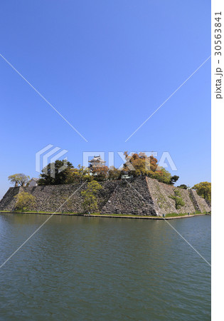 南西から見る今治城全景 30563841