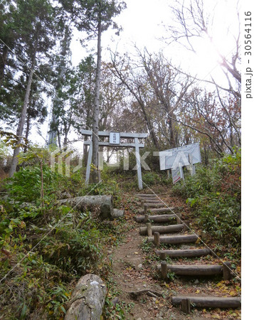 石鎚神社 中宮成就社の鳥居 石鎚神社 中宮成就社の鳥居 30564116
