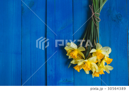 Yellow daffodils bouquet on blue wooden background Yellow daffodils bouquet on blue wooden background 30564389