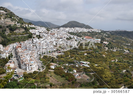 フリヒリアナ フリヒリアナ 30566587