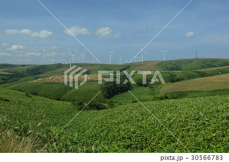 宗谷丘陵 稚内 宗谷丘陵 稚内 30566783