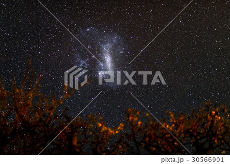 The starry sky and the majestic Magellanic Clouds The starry sky and the majestic Magellanic Clouds 30566901