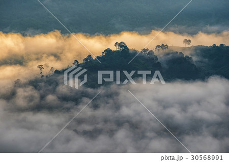 Landscape of Morning Mist with Mountain. 30568991