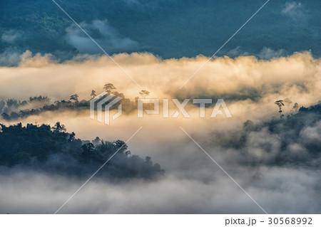 Landscape of Morning Mist with Mountain. 30568992