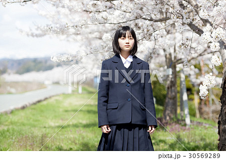 School girls standing in front of cherry - Stock Photo [30569289] - PIXTA