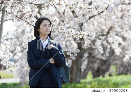 School girls standing in front of cherry - Stock Photo [30569289] - PIXTA