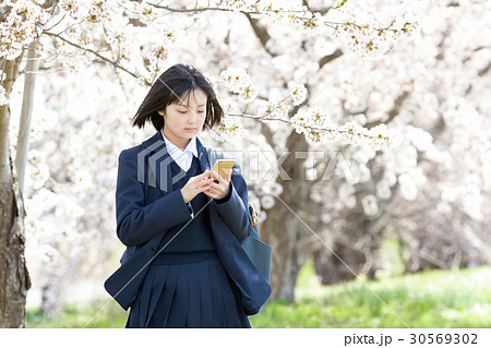 School girls standing in front of cherry - Stock Photo [30569289] - PIXTA