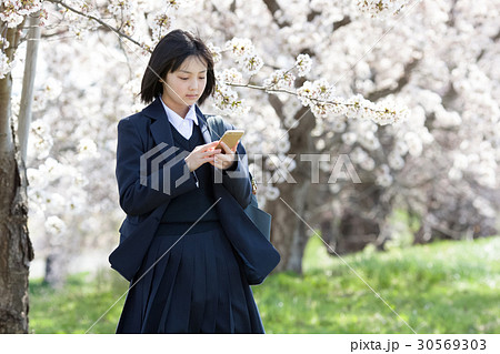 School girls standing in front of cherry - Stock Photo [30569317] - PIXTA