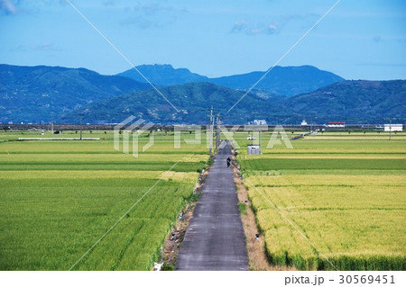 初夏の田園風景 初夏の田園風景 30569451