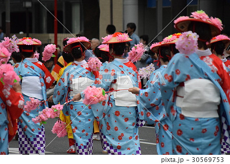 博多どんたく 30569753